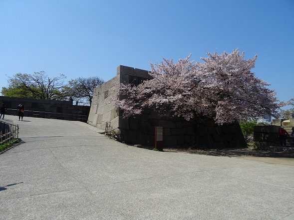 b0299042_12305050.jpg