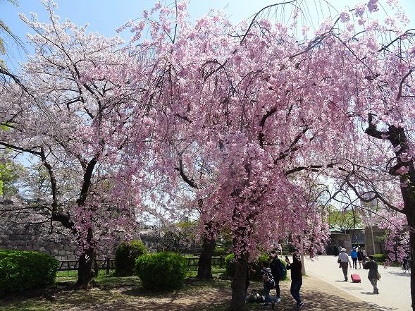 b0299042_12323016.jpg