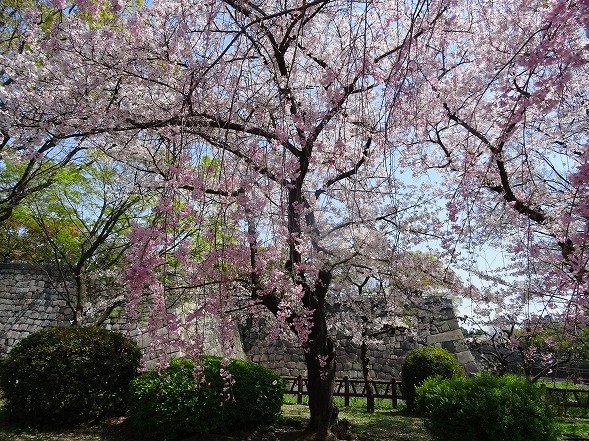 b0299042_12323628.jpg