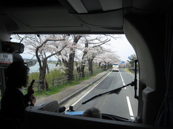 旅行ＮＯ3　東北桜ツアー3日目 _a0279743_2330470.jpg