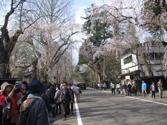 旅行ＮＯ3　東北桜ツアー3日目 _a0279743_23452852.jpg