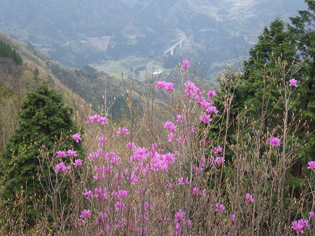 e0164643_13552012.jpg
