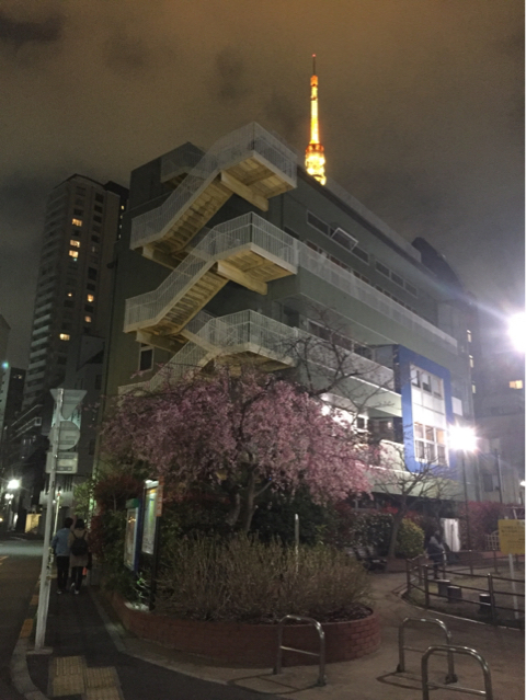 漏れは浮かれていた…（3月31日のペリーニ アダージオ 7回目の訪問）_b0136045_14324886.jpg