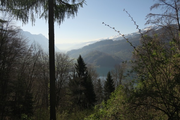 e0356046_02031989.jpg