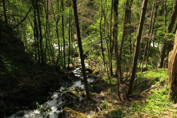 e0356046_02470063.jpg