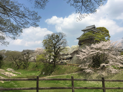 c0136547_17550502.gif