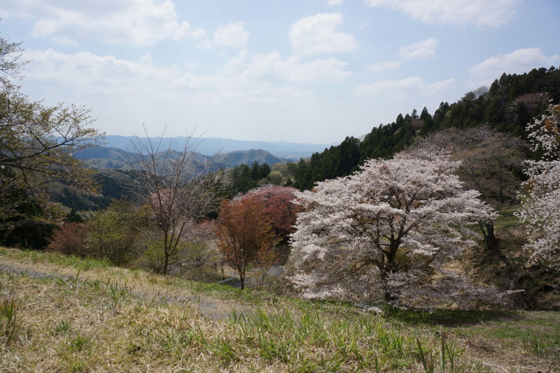 a0331055_19300756.jpg