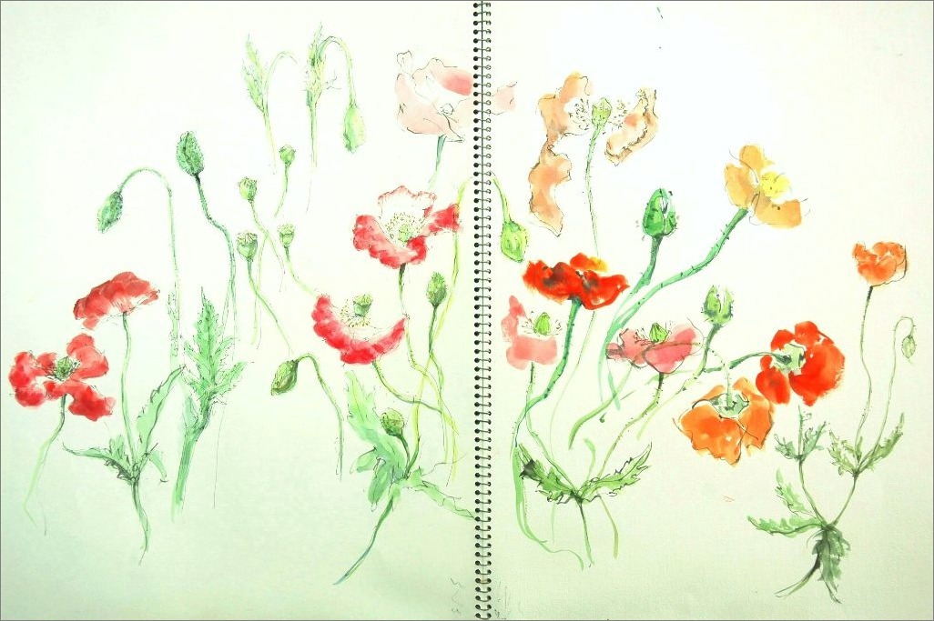 《 ヤマセミの谿から・・・・『雛罌粟・雛芥子・虞美人草』》_f0159856_02285708.jpg
