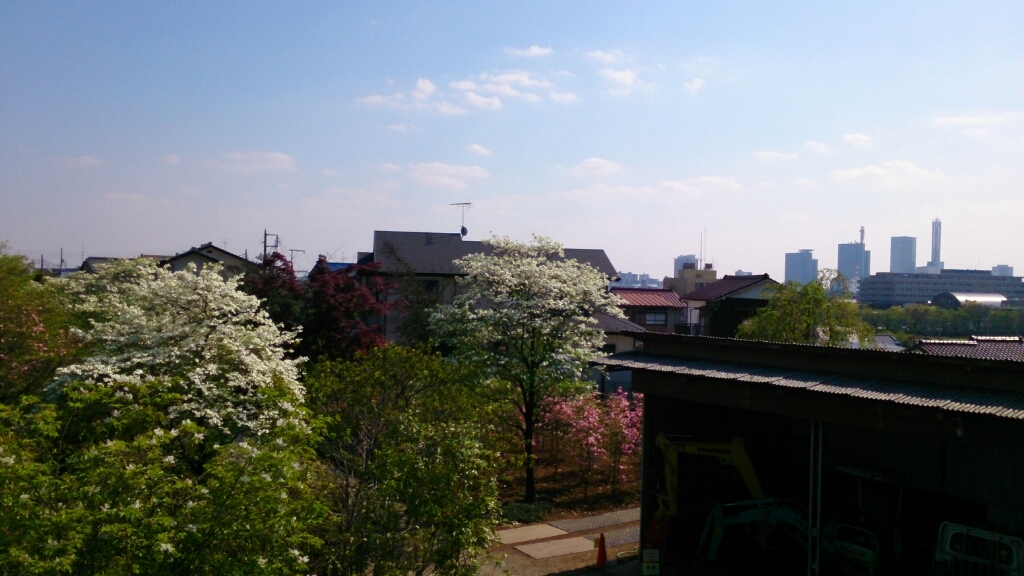 d0116059_11174403.jpg