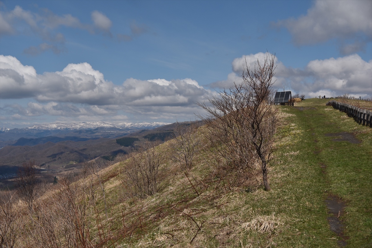 b0281366_10311145.jpg