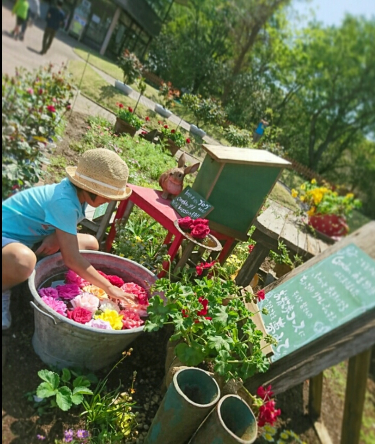 こどものくにGarden再生物語・・・・・ここに、こんなのあったらいいね‼️・・写真スポット・・_b0137969_04525650.png