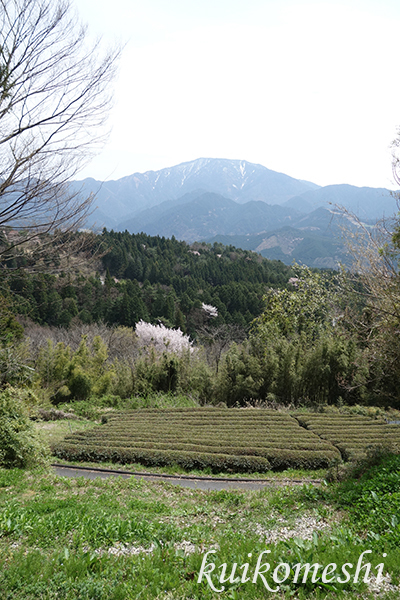 【岐阜県】中山道　馬籠宿　２_d0353472_21473734.jpg