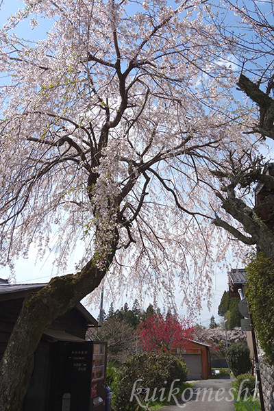 【岐阜県】中山道　馬籠宿　２_d0353472_21481496.jpg