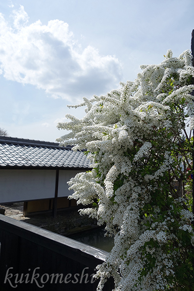 【岐阜県】中山道　馬籠宿　２_d0353472_21481841.jpg