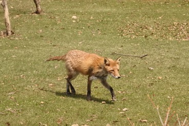 f0362073_23070786.jpg