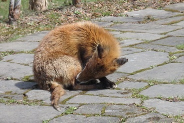f0362073_23080983.jpg