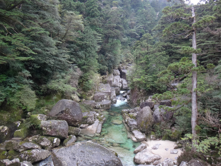 d0182075_00471981.jpg