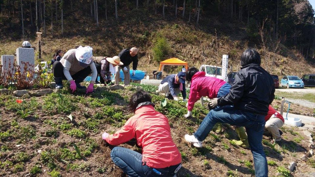 宮城県石巻市 被災地を再びサクラ色に_d0259876_09165198.jpg
