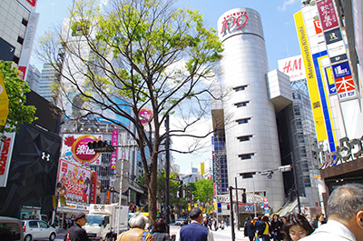 b0056983_14380060.jpg