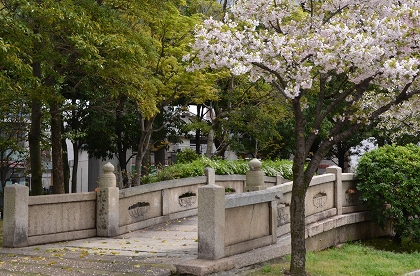 c0229483_135339.jpg