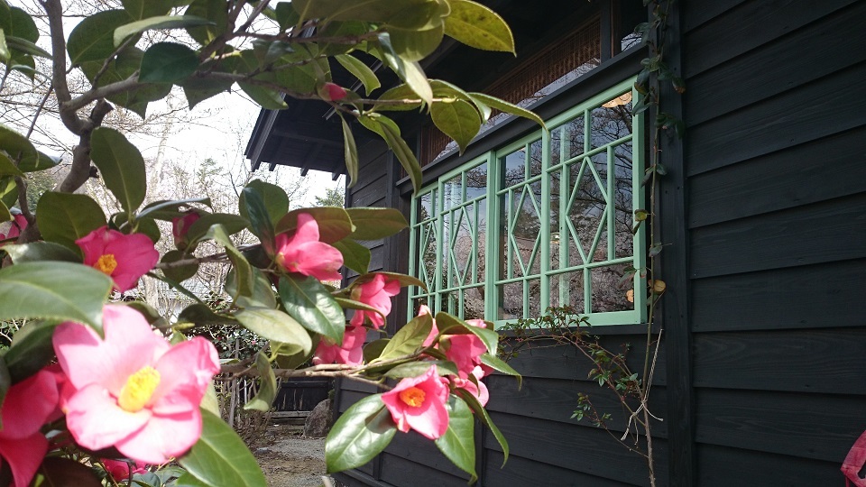 d0129083_20395596.jpg