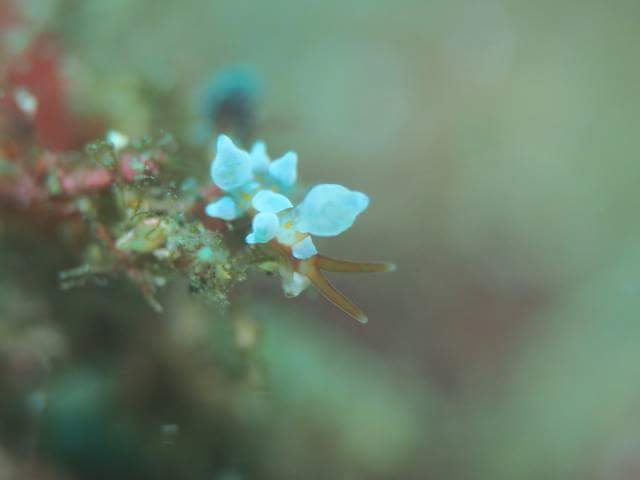 f0151886_16394344.jpg