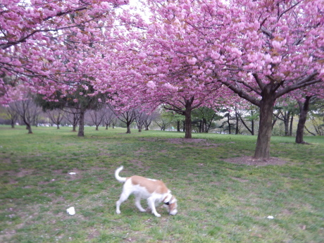 c0253487_04155616.jpg