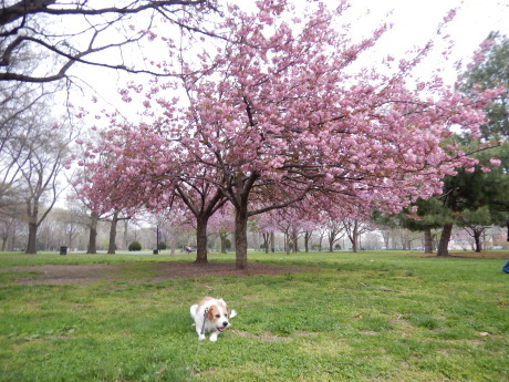 c0253487_04244491.jpg
