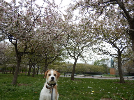 c0253487_04561719.jpg