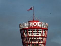 b0192588_92865.jpg