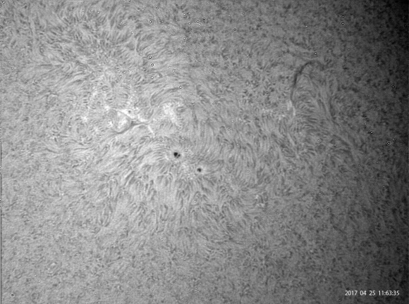 4月25日の太陽_e0174091_14064314.jpg