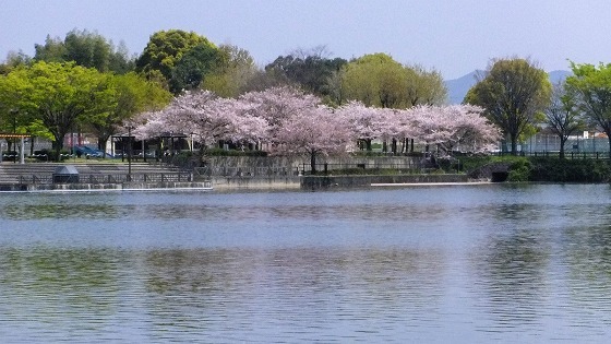 e0176993_07100923.jpg