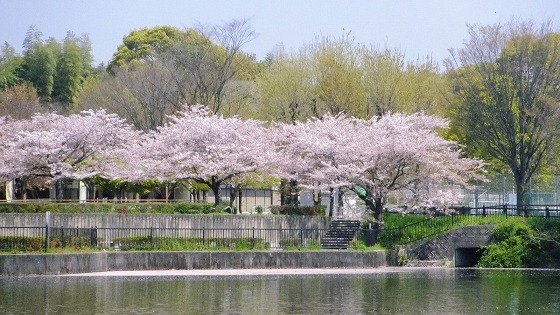 e0176993_07100952.jpg