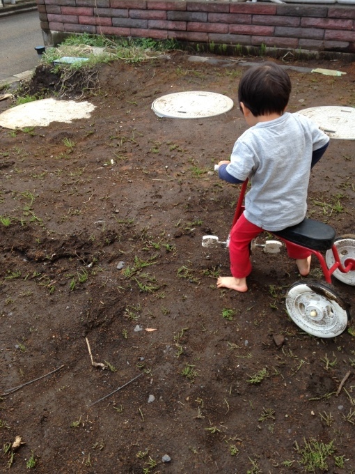 庭4年目。庭づくりをふりかえる①_e0375293_10255658.jpg
