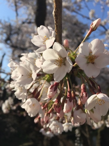 フラれちゃった_a0134394_16315038.jpg