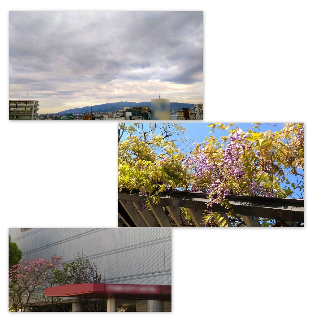 あっという間の4日間_d0147812_8231175.jpg