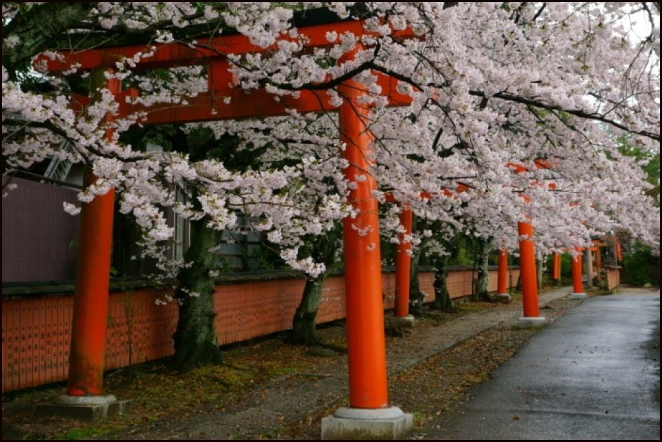 竹中稲荷神社_e0177413_19491555.jpg