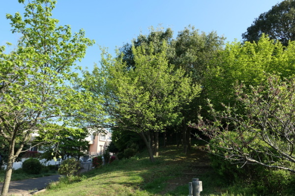 f0369014_09095512.jpg