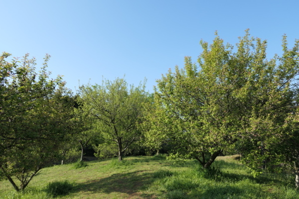 f0369014_09131476.jpg