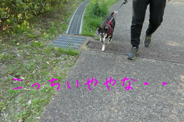 f0369014_13202787.jpg