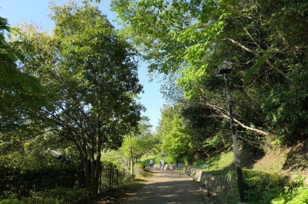 f0369014_13205705.jpg