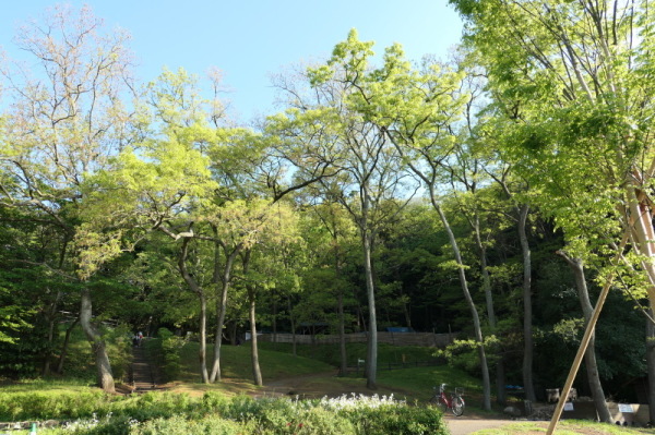 f0369014_13211622.jpg