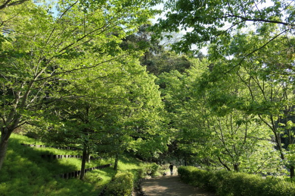 f0369014_13225313.jpg