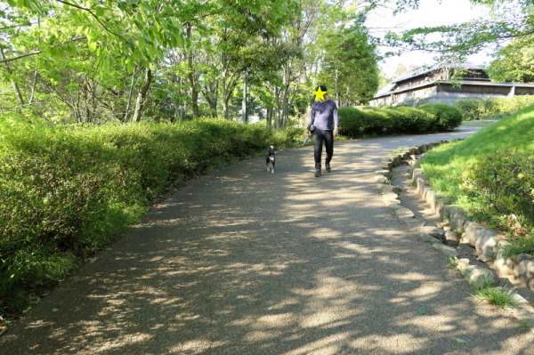 f0369014_13235889.jpg