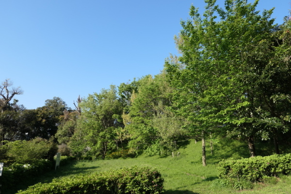 f0369014_13241684.jpg