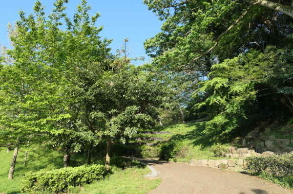 f0369014_13243191.jpg