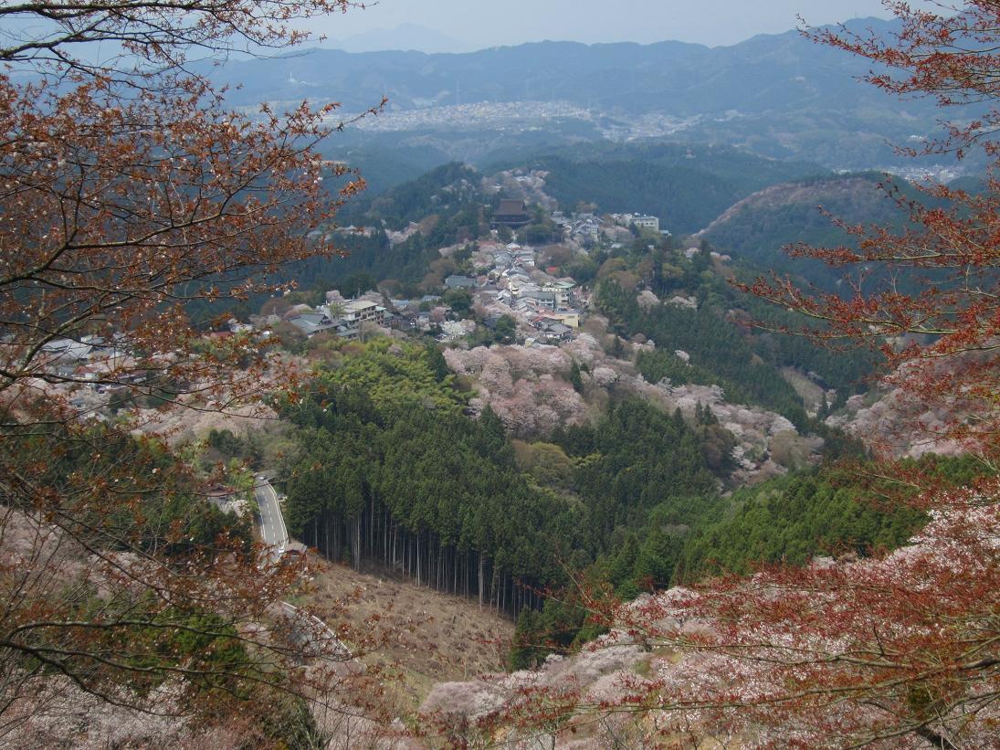 平成29年 吉野山の桜・・・_e0154524_17220258.jpg