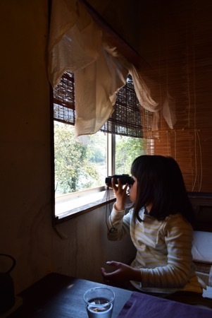 日曜日、家族へ多治見タイルミュージアムへ♫_a0284626_21224874.jpg