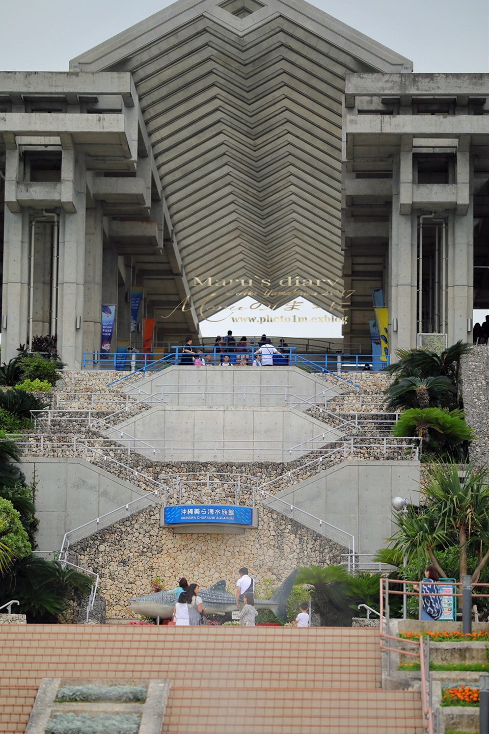 まゝに/特急便/Island4/美ら海水族館_d0342426_05533799.jpg