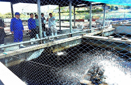 １７ ０４ ２６ 水 千葉県 内水面水産研究所 視察 たきた敏幸日記 千葉県議会随一の論客 地域を愛し ふるさとを守る